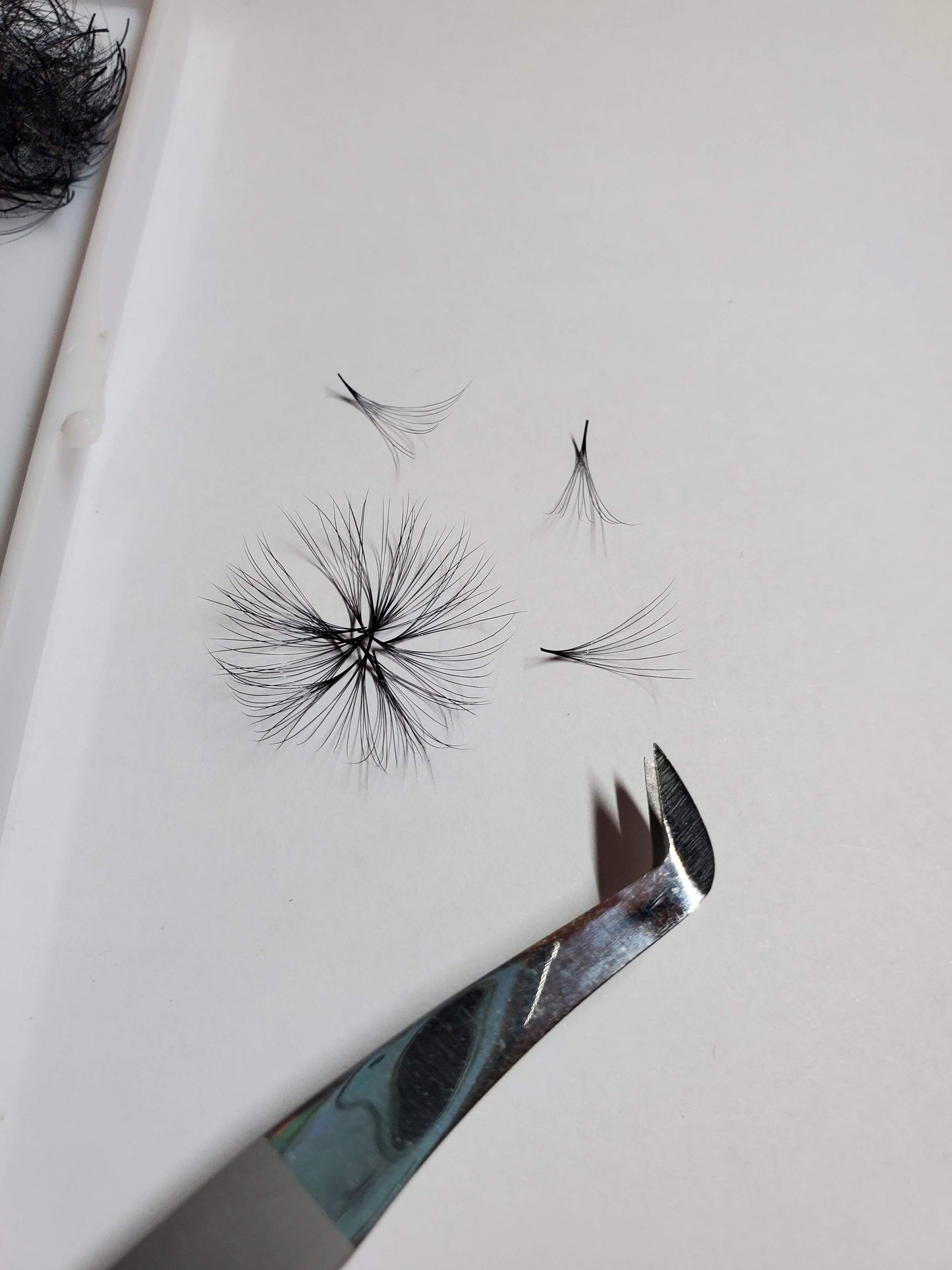 10D | 0.05 | 1000 Fans Mixed Lengths loose Fans Promade by Kimeyelashes