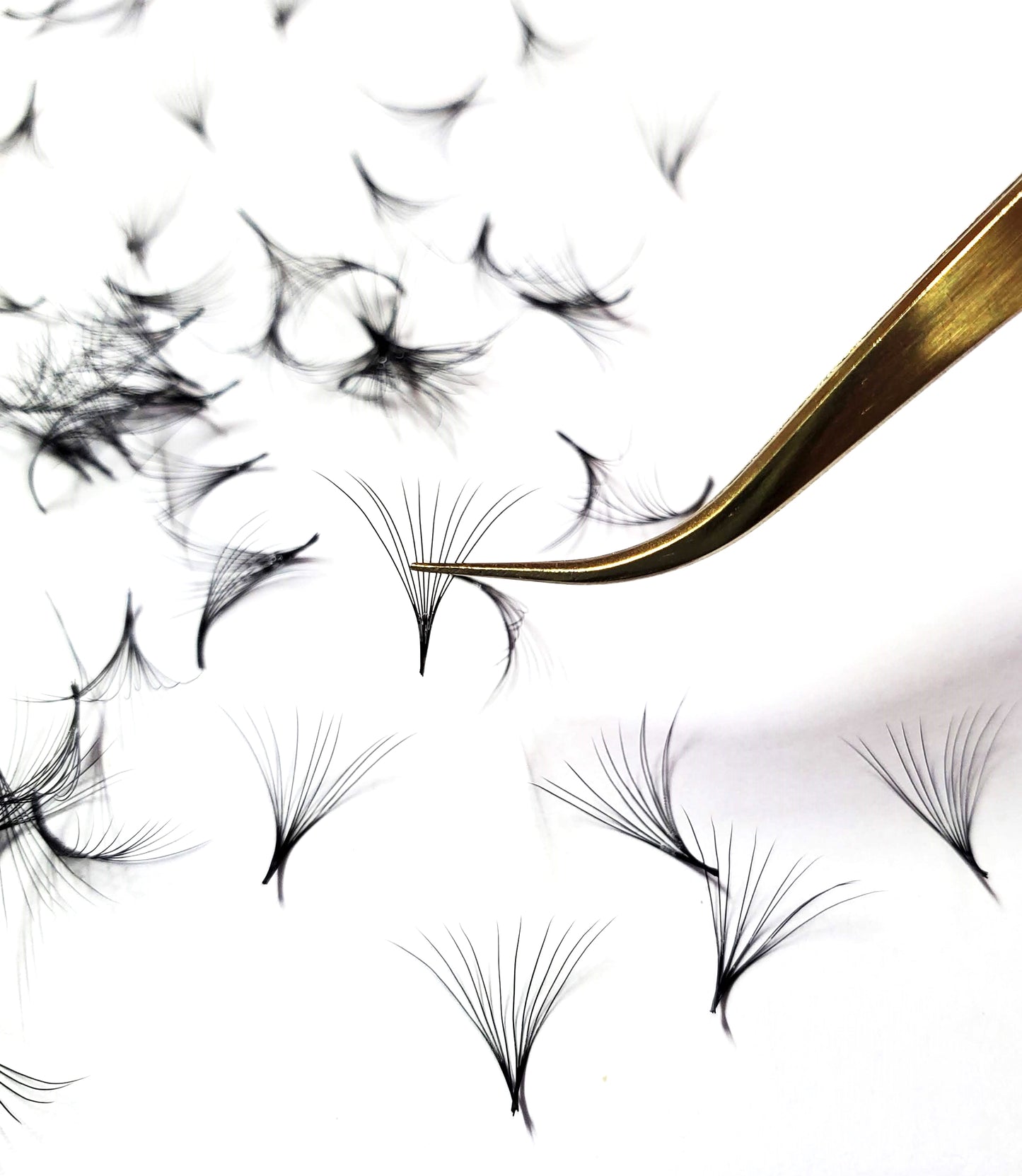 4D 5D 6D 7D 8D 9D 10D | D Curl | 0.07 | 1000 Fans Mixed Lengths Promade by Kimeyelashes