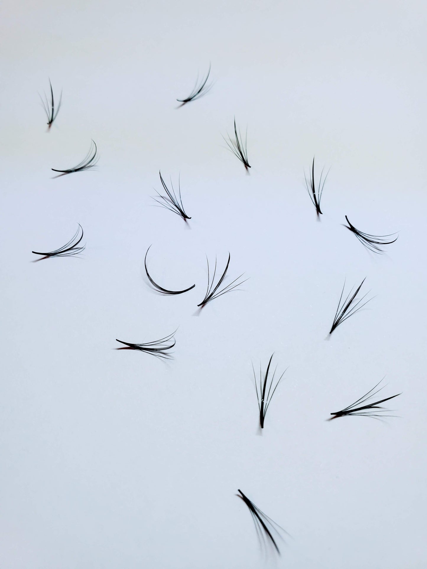 7D Wispy | 0.07 | 1000 Fans Mixed Lengths loose Fans Promade by Kimeyelashes