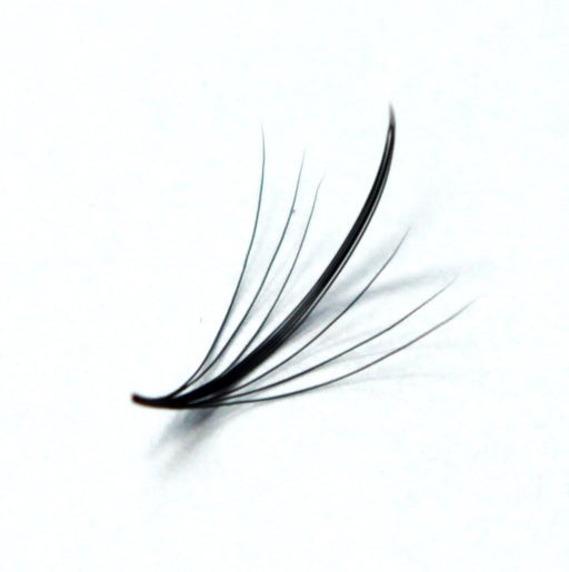 Custom lashes 7D 0.07 wispy D Curl